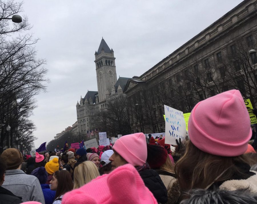 Womens March in Washington D.C. on January 19, 2019.
