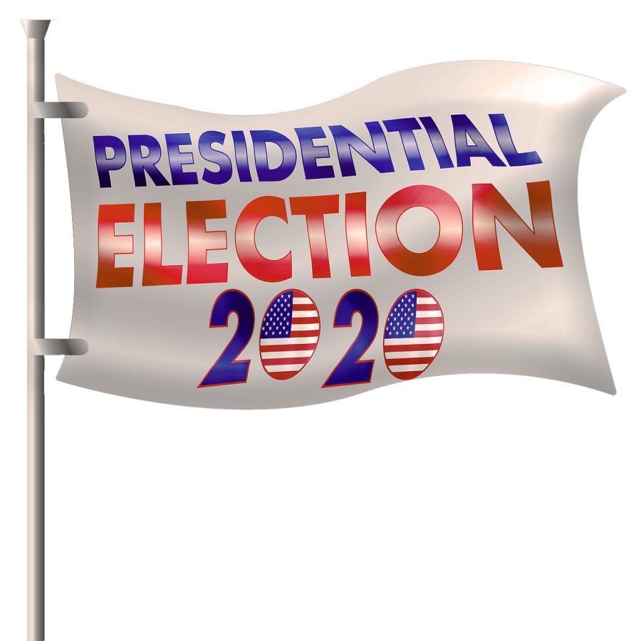 Election 2020 Flag